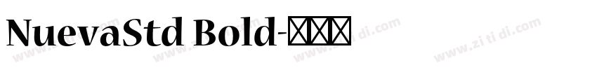 NuevaStd Bold字体转换